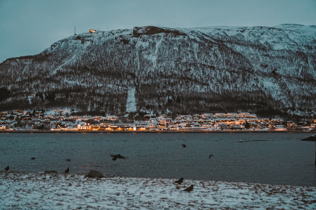 Norvège : Morrow en faillite, Equinor et réforme dentaire