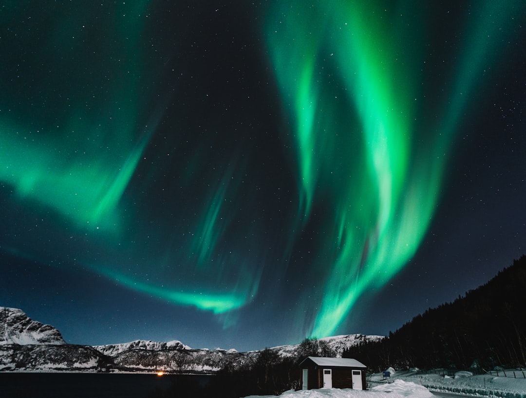 La musique norvégienne : d'A-ha à Aurora en juin 2026