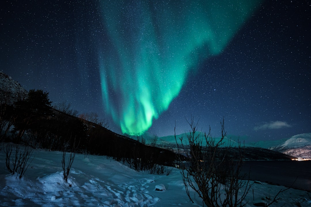 Tromsø en hiver : le guide pour observer les aurores boréales