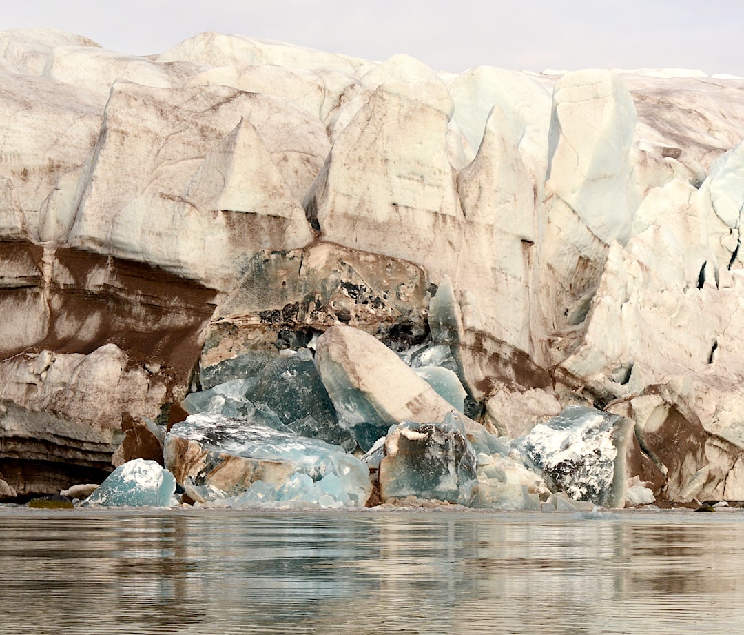 Svalbard : royaume des ours polaires en juin 2026