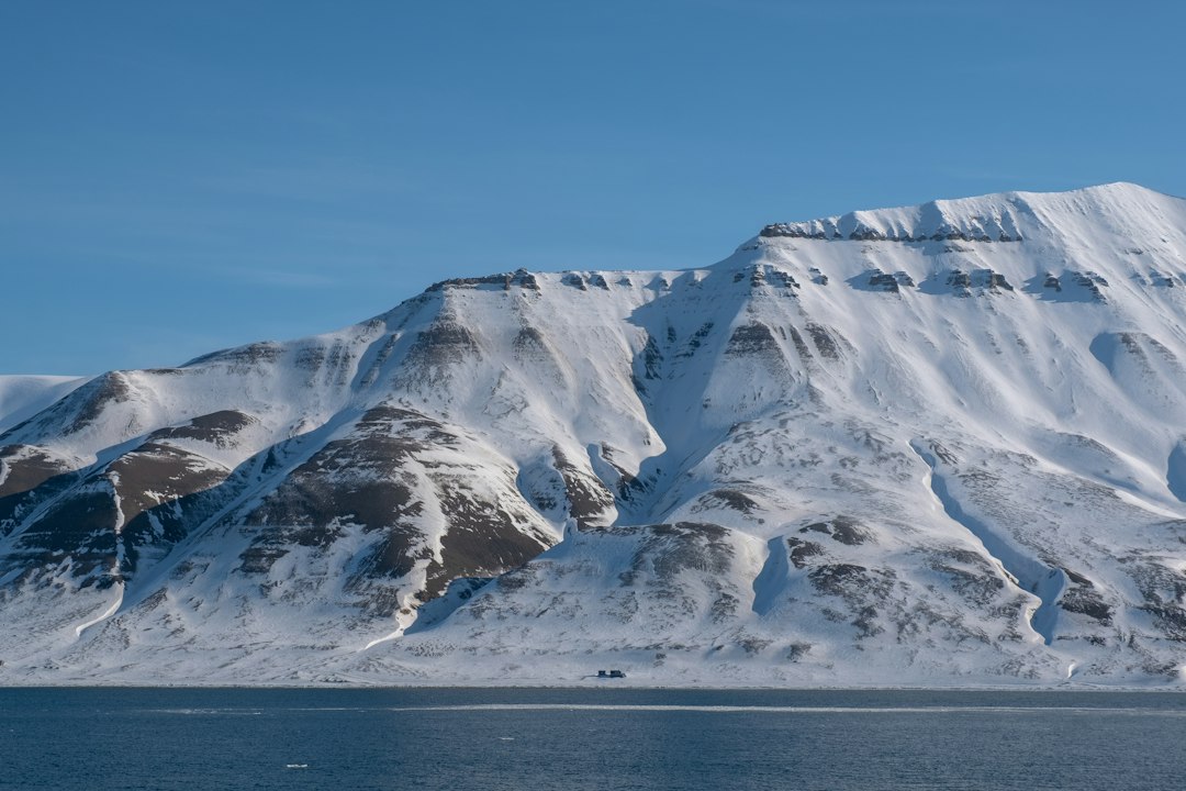 Svalbard : royaume des ours polaires